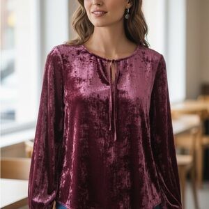 J. Jill Women’s Velour Plum Pullover Top Size Large